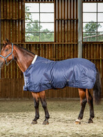 Dy'on Dyon Winter 250gm Stable Rug