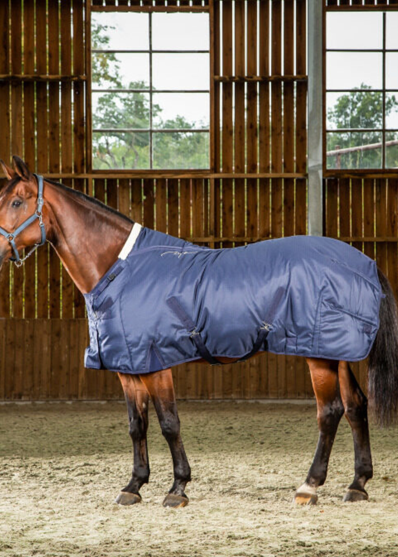 Dy'on Dyon Winter 250gm Stable Rug