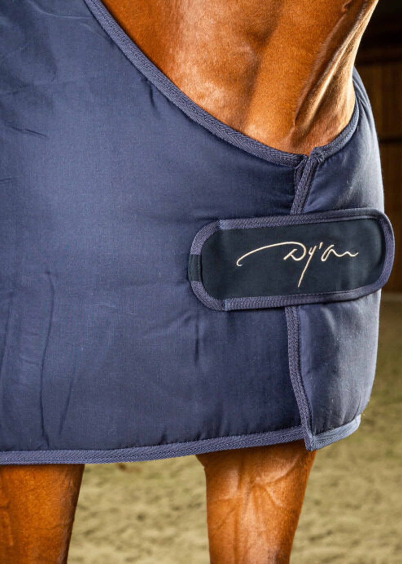 Dy'on Dyon Under Rug