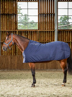 Dy'on Dyon Under Rug