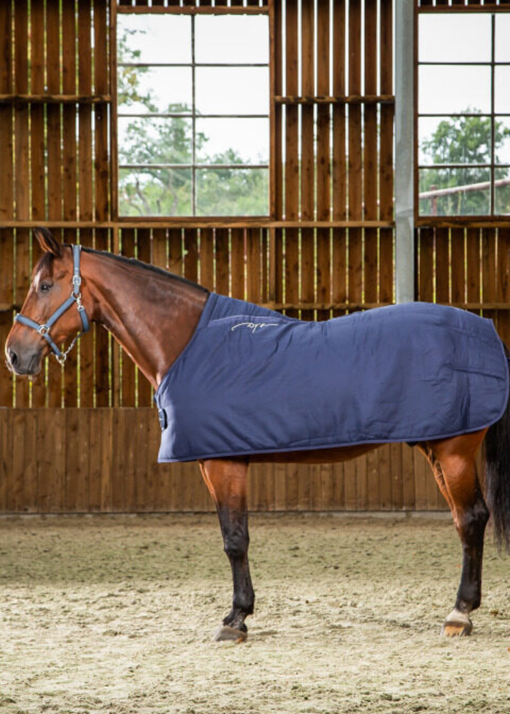 Dy'on Dyon Under Rug