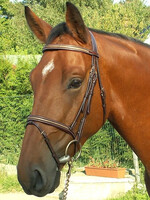 Dy'on Dyon Collection "Snake" Flash Bridle