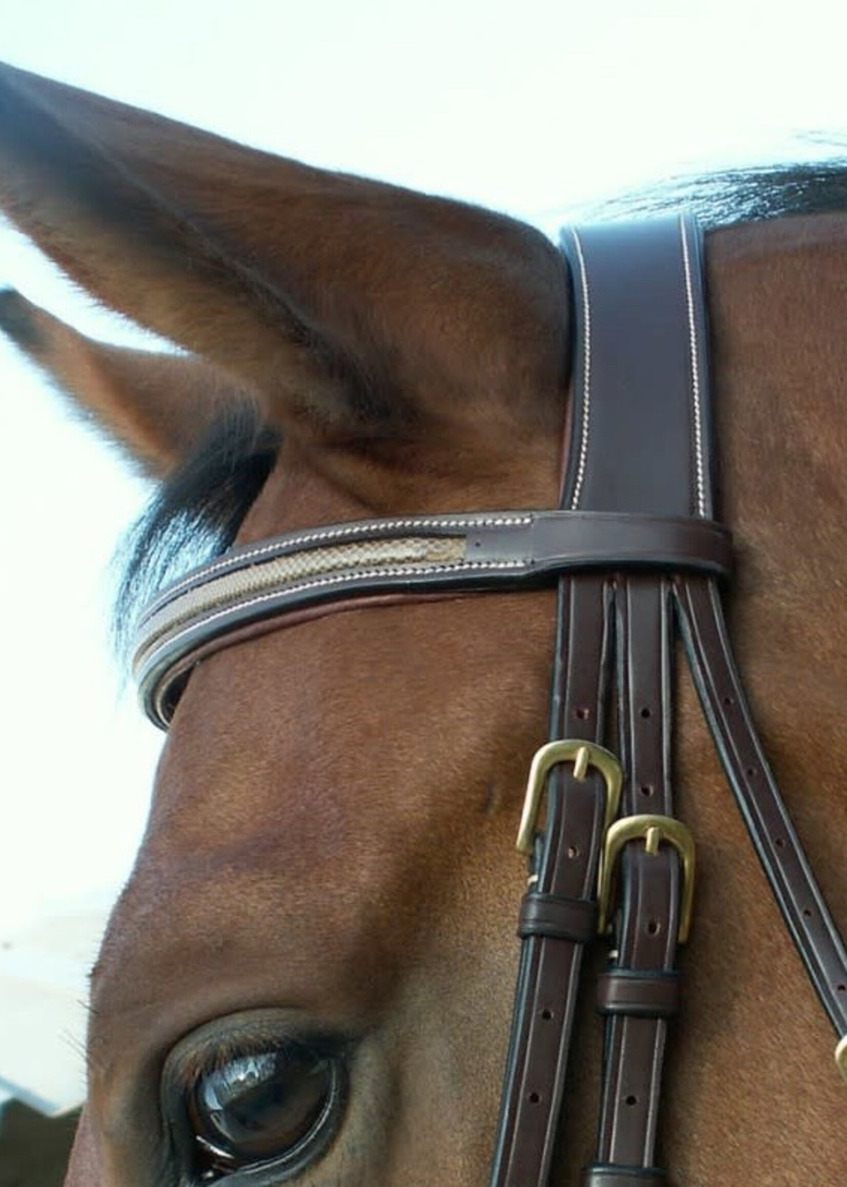 Dy'on Dyon Collection "Snake" Flash Bridle