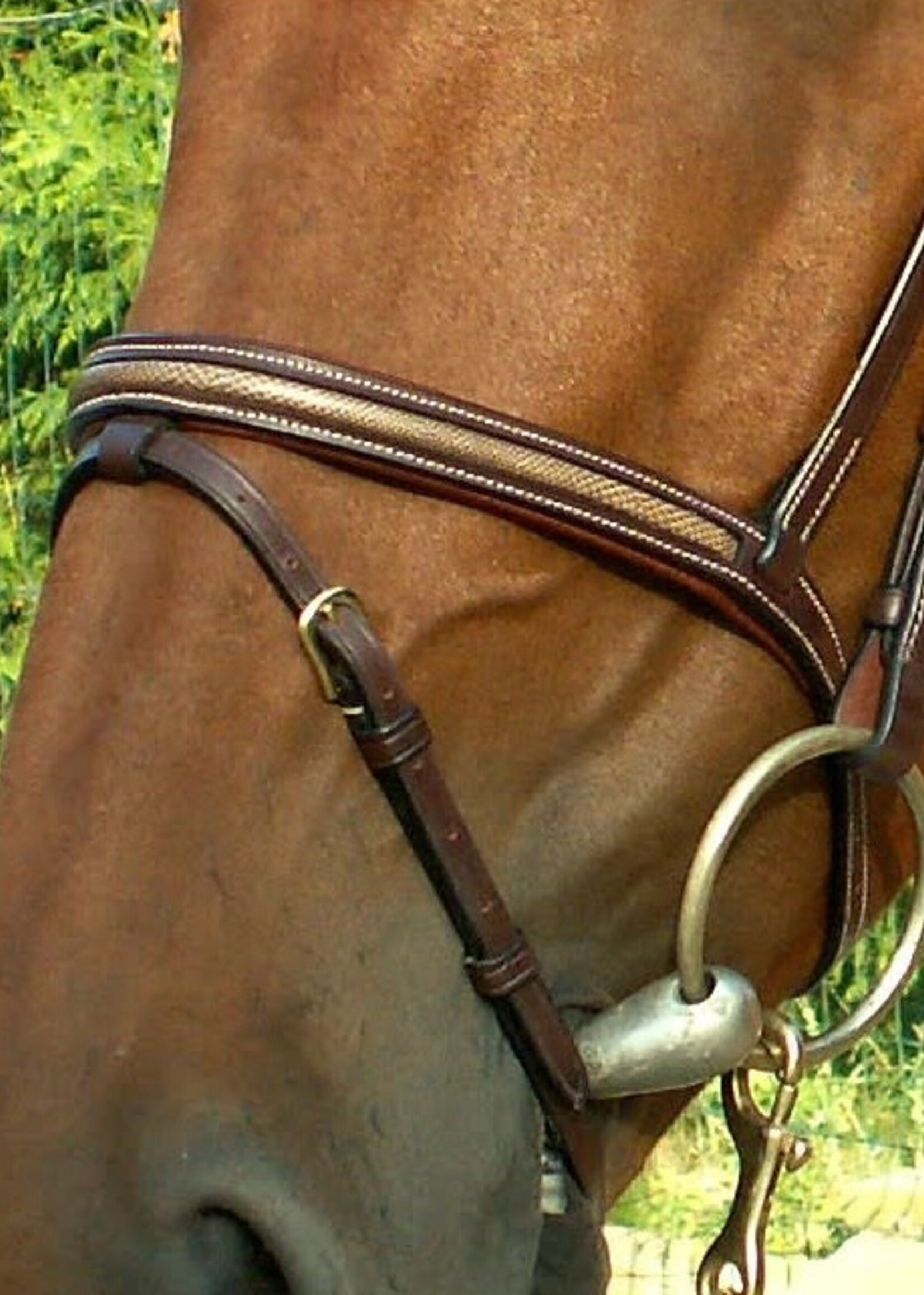 Dy'on Dyon Collection "Snake" Flash Bridle