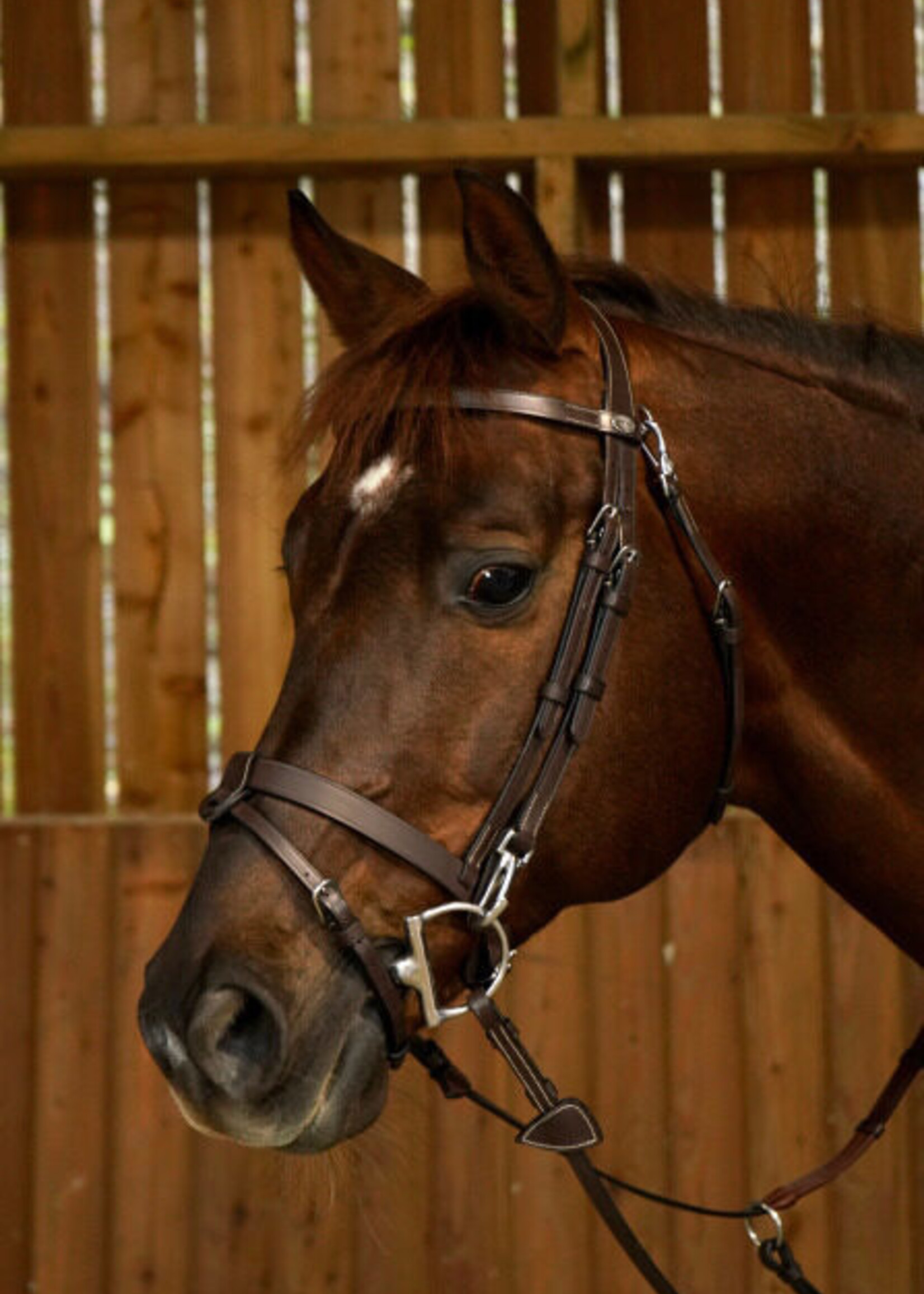 Dy'on Dyon Working Collection Flat Leather Flash Bridle with Clips