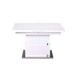 Smart Tafel Wit