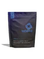 tailwind Tailwind Recovery 15 Serv  Vanilla