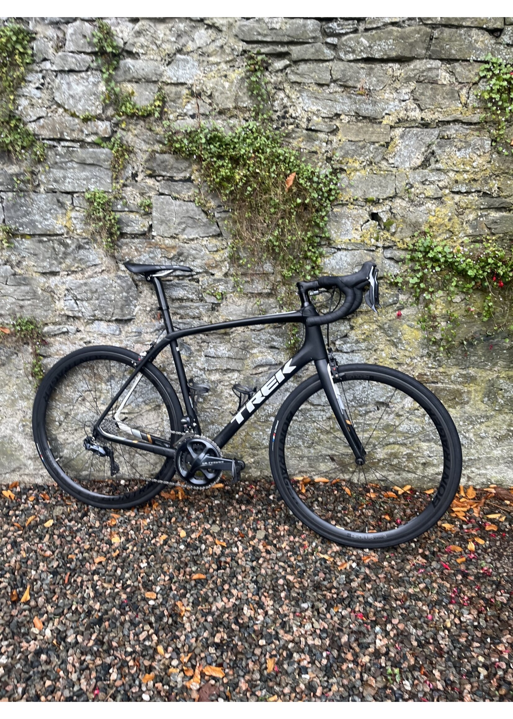 TREK Trek Domane SL7 (58cm) (Pre-Owned)