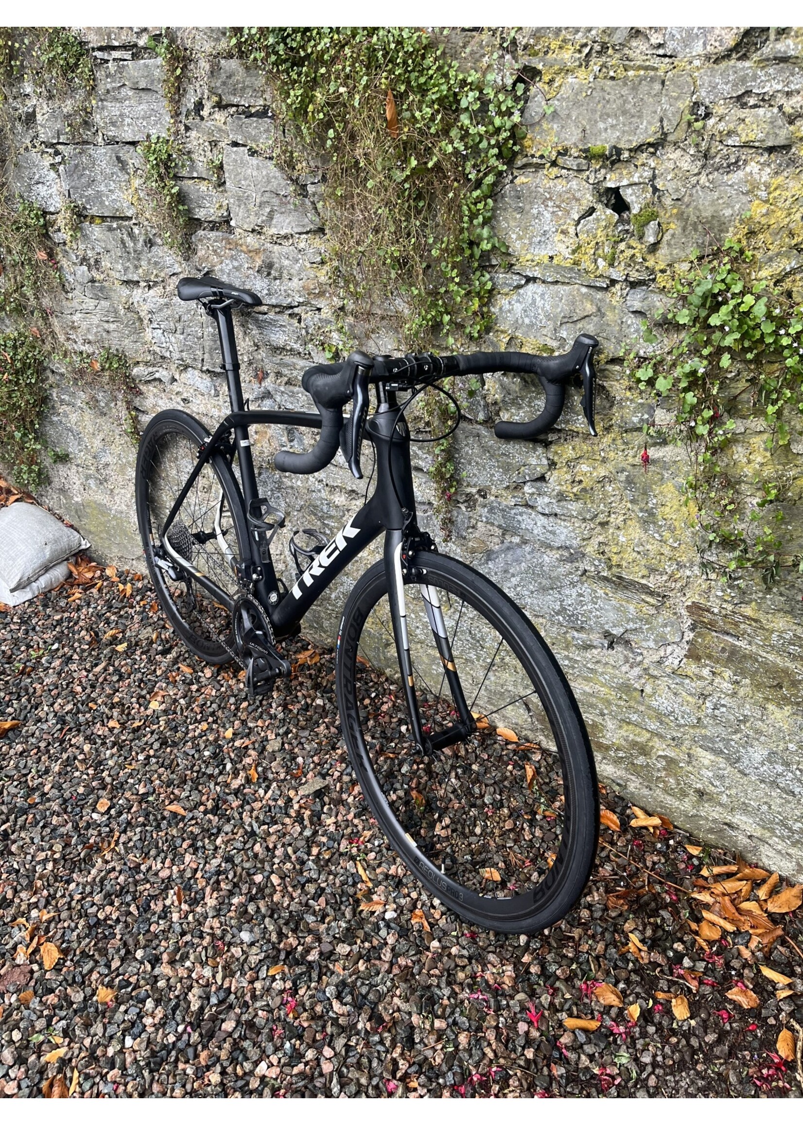 TREK Trek Domane SL7 (58cm) (Pre-Owned)