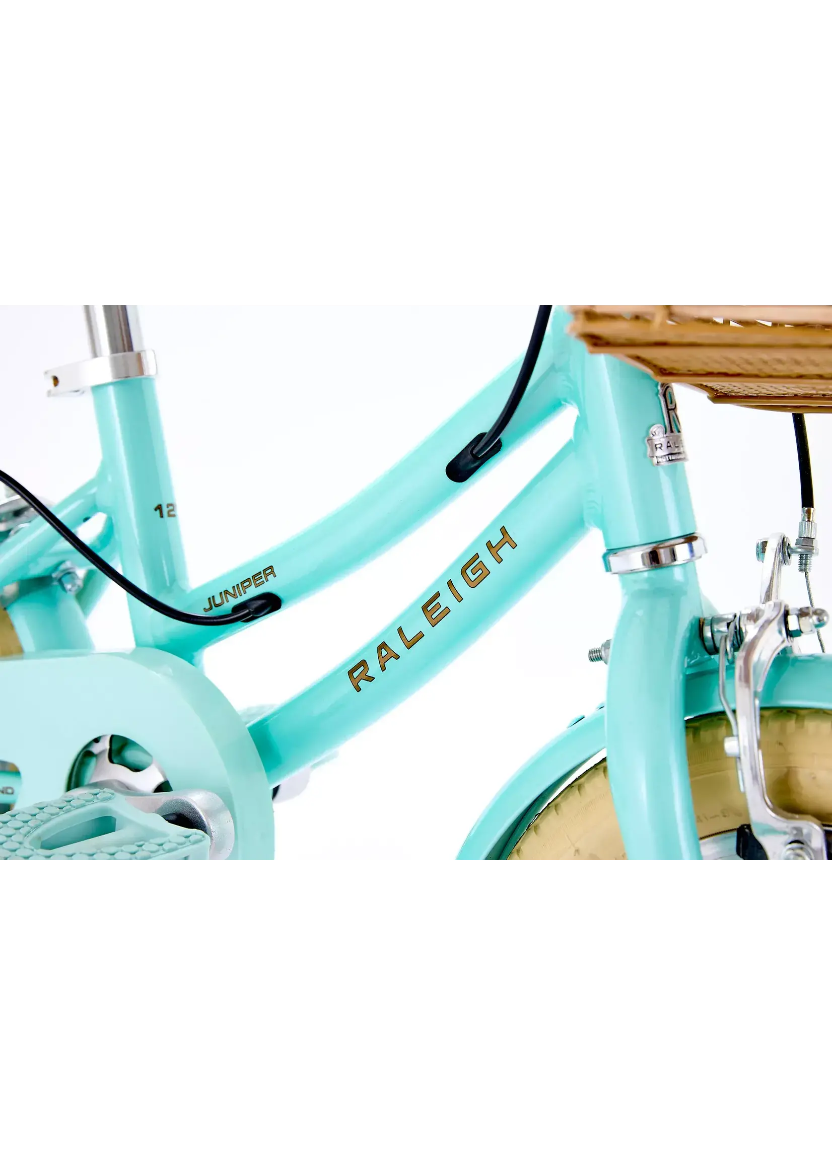 raleigh 12"Raleigh Juniper mint