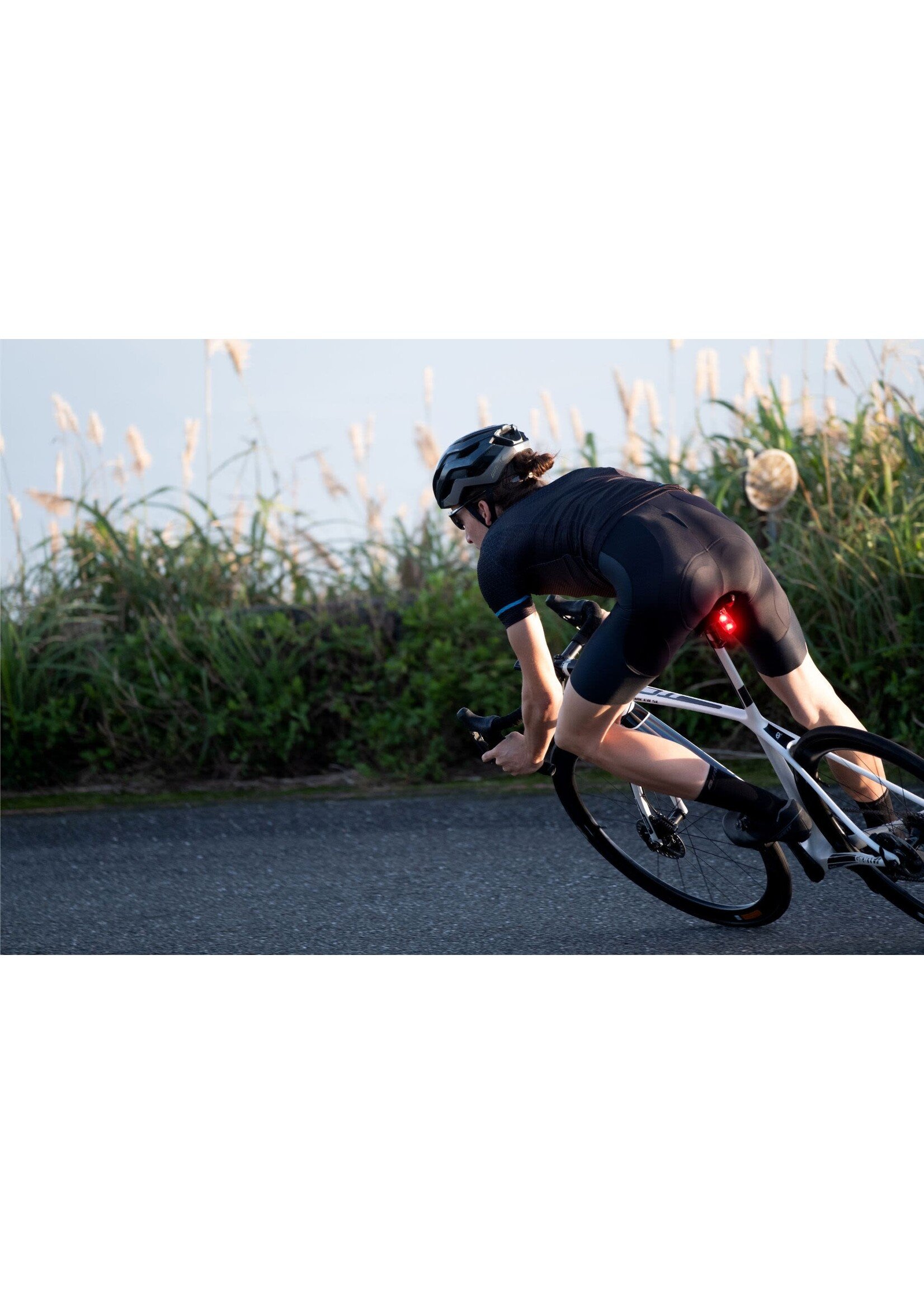 Giant Giant Recon TL 200 Rear Light