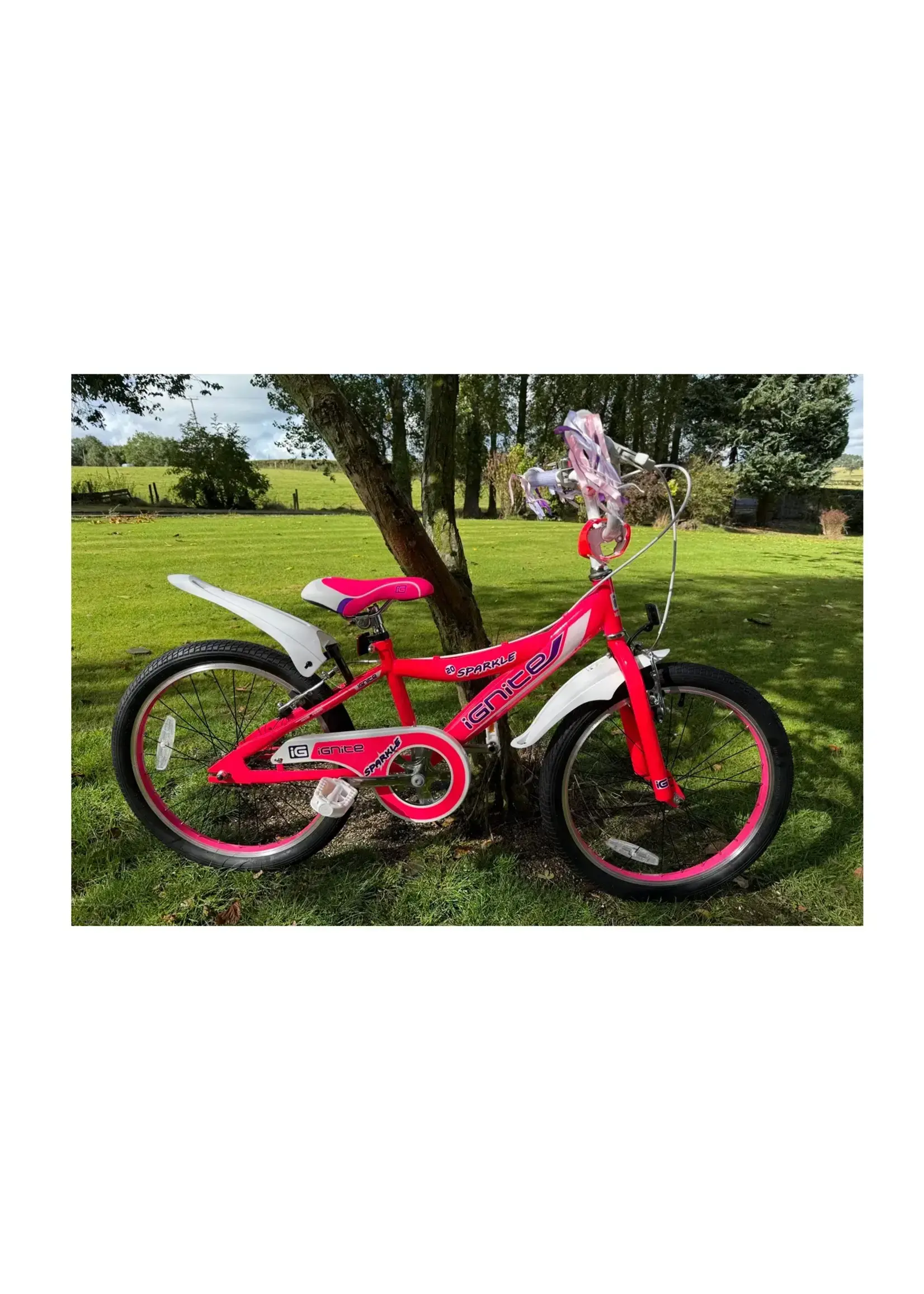 Ignite 20" IGNITE SPARKLE GIRLS BIKE