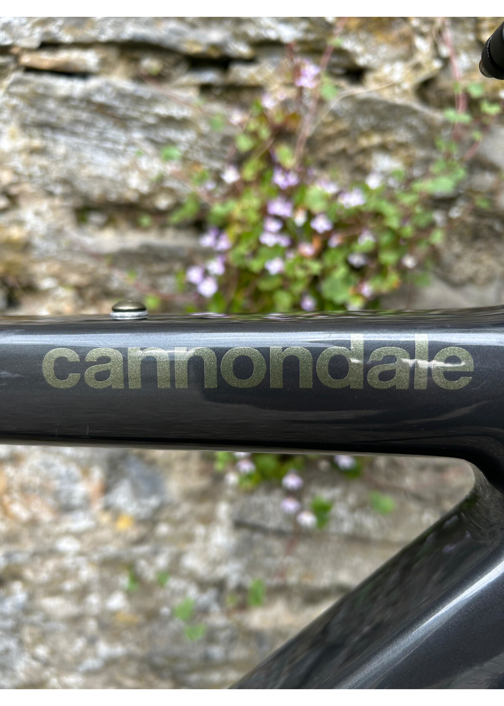 Cannondale Cannondale Topstone Carbon 5 (pre-owned) Medium