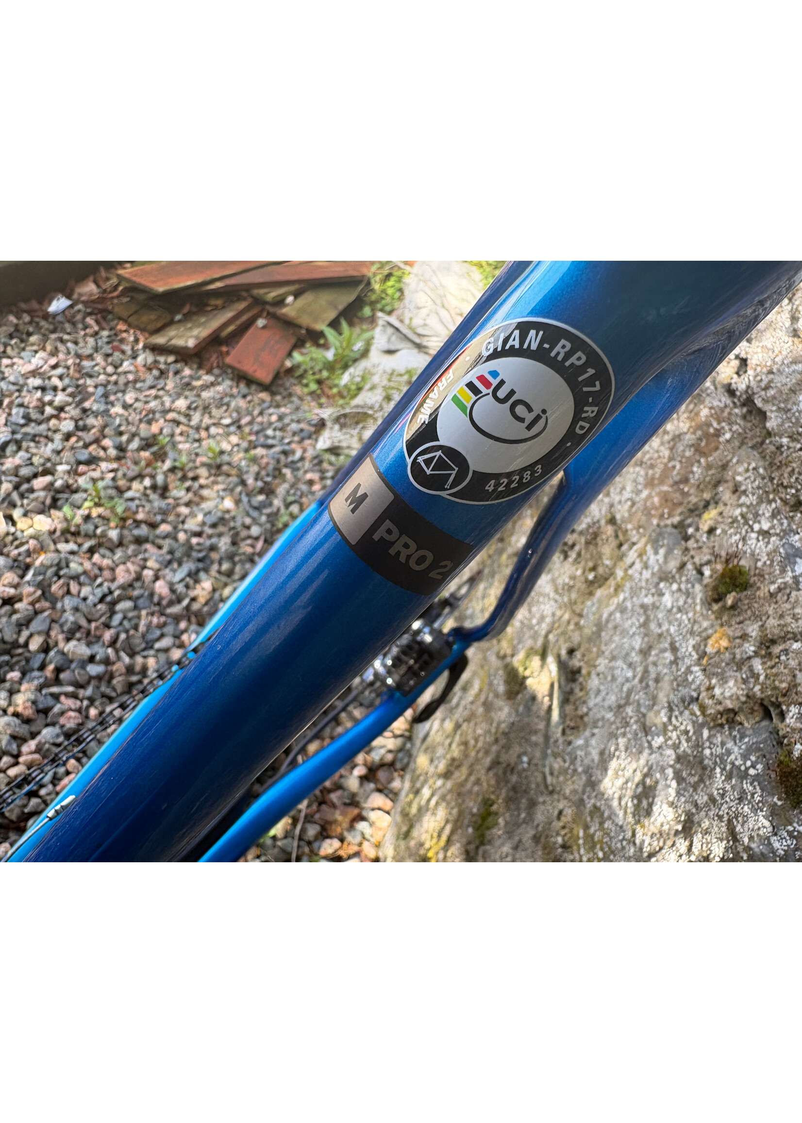 Giant Giant TCR Advanced Pro 2 (preowned) (medium)
