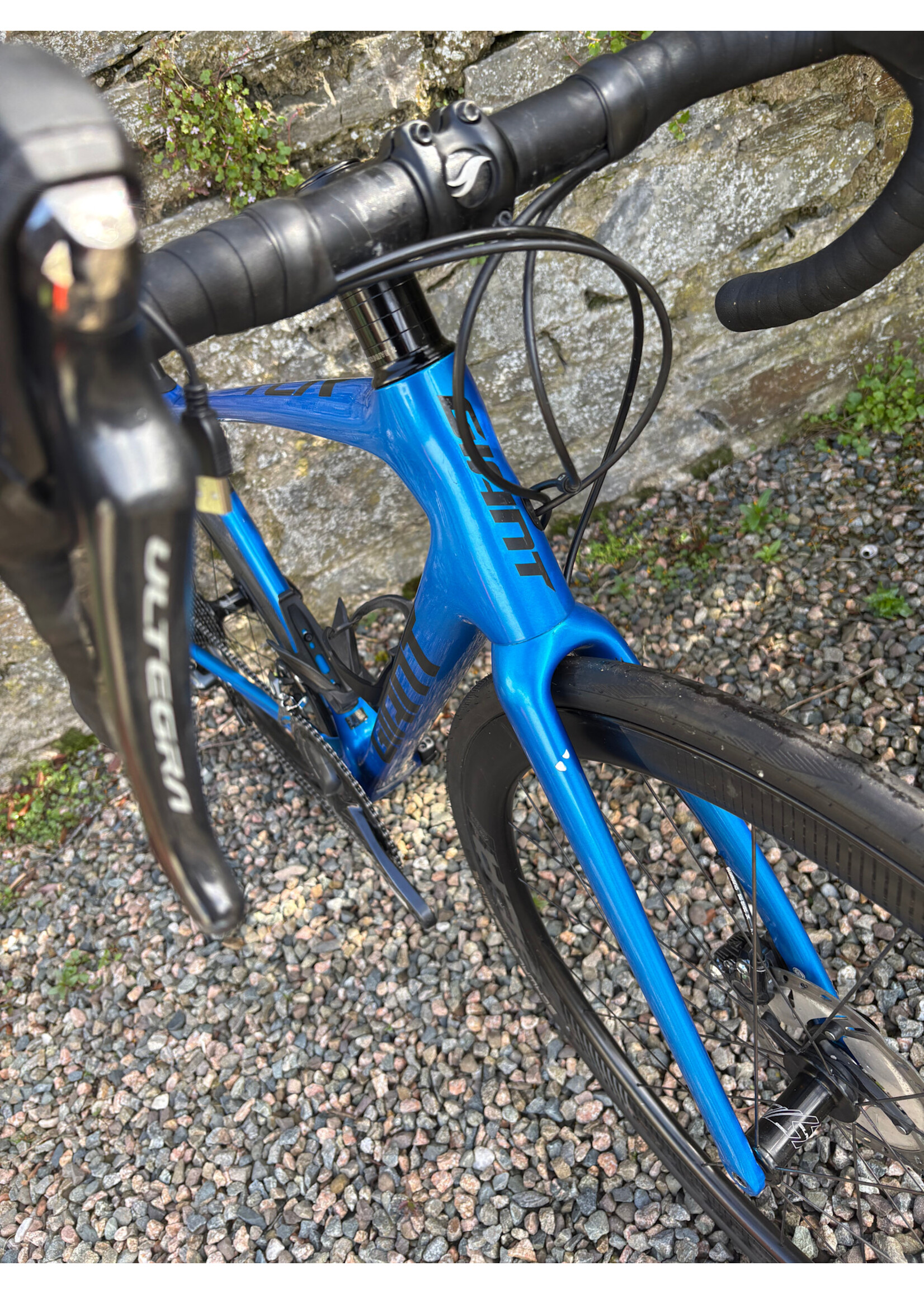 Giant Giant TCR Advanced Pro 2 (preowned) (medium)