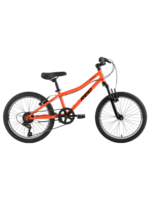 REID REID Impact 20 Kids Bike Orange