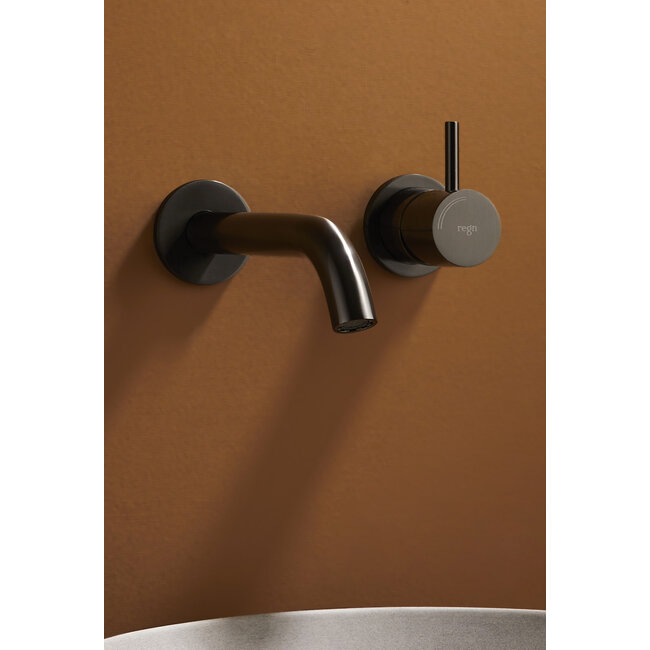 Regn 10005 2-gats inbouw wastafelkraan in 6 kleuren