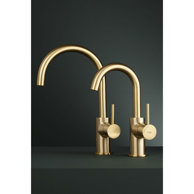 Regn 10003 wastafelkraan met gebogen uitloop 6 kleuren