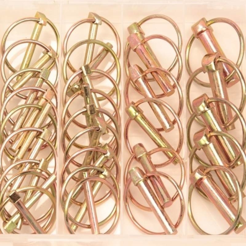 Assortiment borgpennen 50-delig