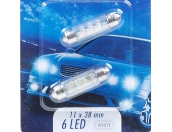 Buislampjes LED in set van twee stuks 12V