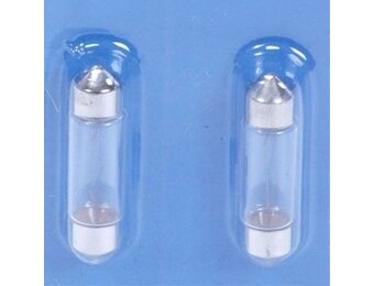 Buislampjes in set van twee stuks 12V-5W