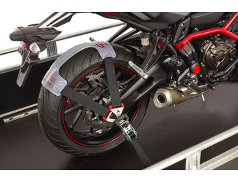 Wielharnas transport - alle wielmaten - premium