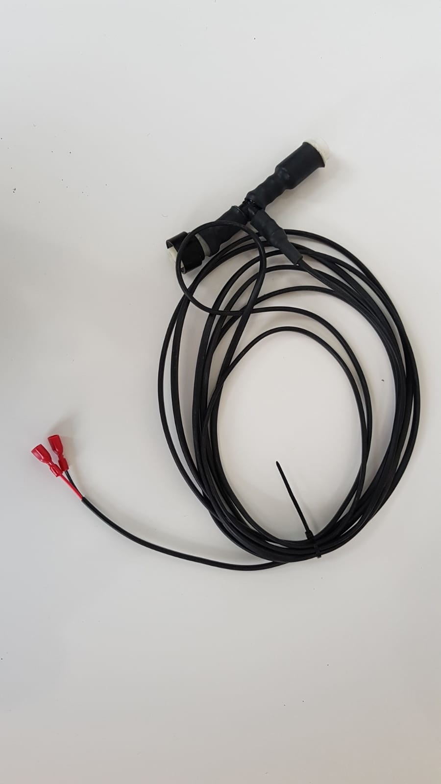 Icarus blue aansluitkabel AMP voor HAPERT Kippers