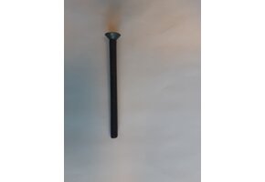 Inbus Bout en Moer M6x80