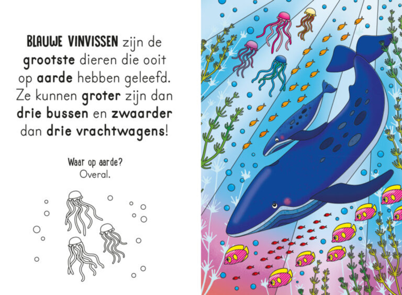 Coloriage magique à l'eau - La mer - Diffusion régionale du livre