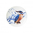 Bord IJsvogel Bord IJsvogel