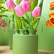 Heinen Delfts Blauw Tulpenvaas cilinder groen KLEI Heinen Delfts Blauw Tulpenvaas cilinder groen KLEI