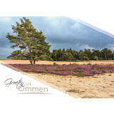 Ansichtkaart Ommen | Sahara Ommen