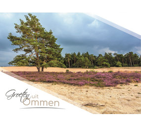 Ansichtkaart Ommen | Sahara Ommen