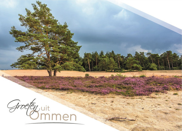 Juego de 3 postales Ommen | Molino, Sáhara y Collage