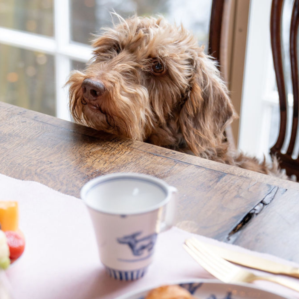 Heinen Delfts Blauw Taza de café Perro Salchicha Nhaan 145 ml