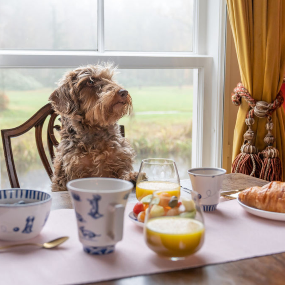 Heinen Delfts Blauw Yogurt bowl Dachshund Nhaan Heinen Delfts Blauw Yogurt bowl Dachshund Nhaan