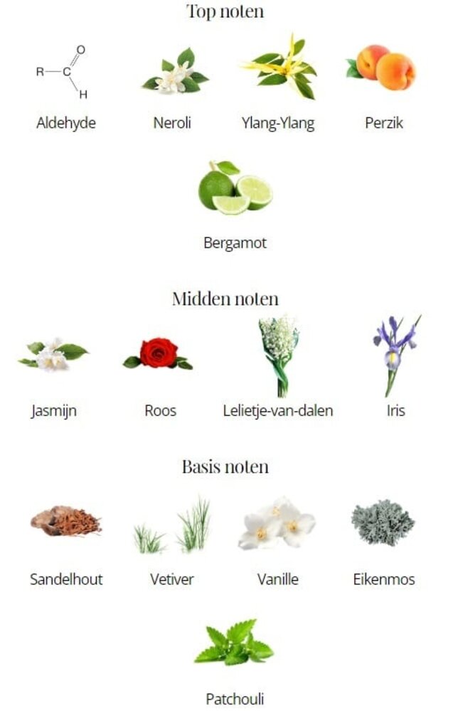 TapParfum TapParfum - LA102 - Damesgeur - Aldehyden, Ylang Ylang, Jasmijn TapParfum TapParfum - LA102 - Damesgeur - Aldehyden, Ylang Ylang, Jasmijn