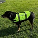 Stardupp Stardupp Dog Vest Fluo Green