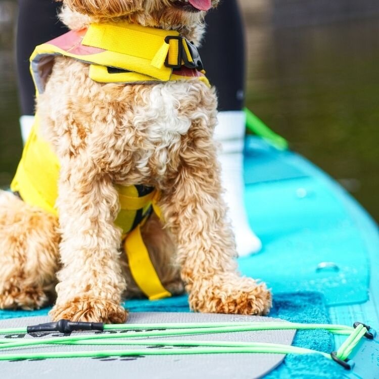 Stardupp Stardupp Dog Pad SUP Board Protector