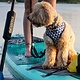 Stardupp Stardupp Dog Pad SUP Board Protector