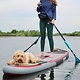 Stardupp Stardupp Waist Pack with leash/Dog belt