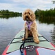 Stardupp Stardupp Dog Pad Board Protector XXL