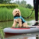 Stardupp Stardupp Dog Pad Board Protector XXL