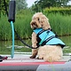 Stardupp Stardupp Dog Vest Aqua