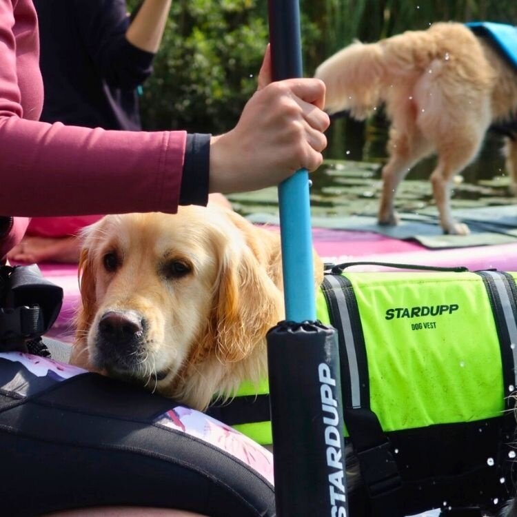 Stardupp Stardupp Dog Vest Fluo Green