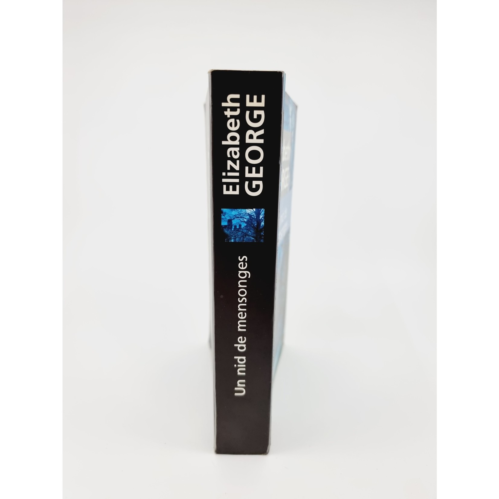 Livre - Un nid de mensonges
