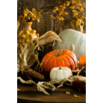 Sélection automnale