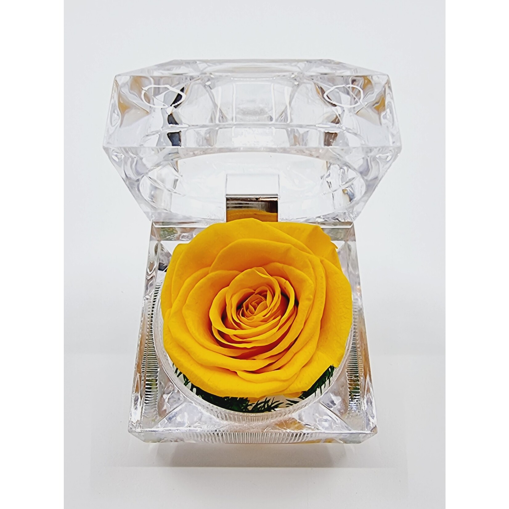 Rose éternelle dans son écrin - jaune