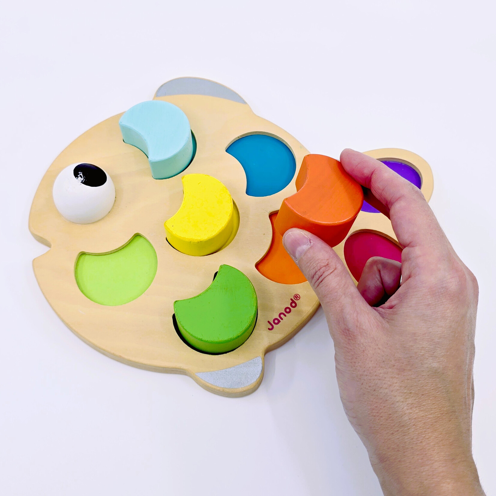 Janod Poisson des formes Janod