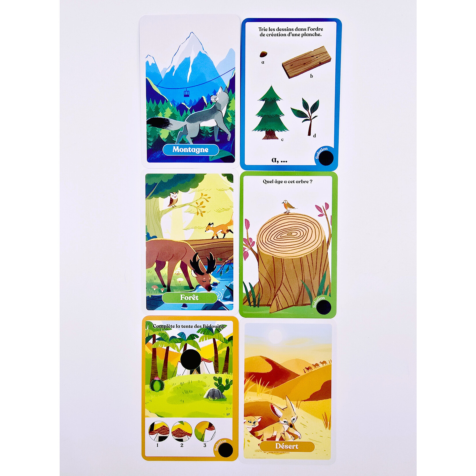 Janod Chasse au Trésor – Autour du Monde